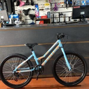 Bicicleta Colli Freio a Disco